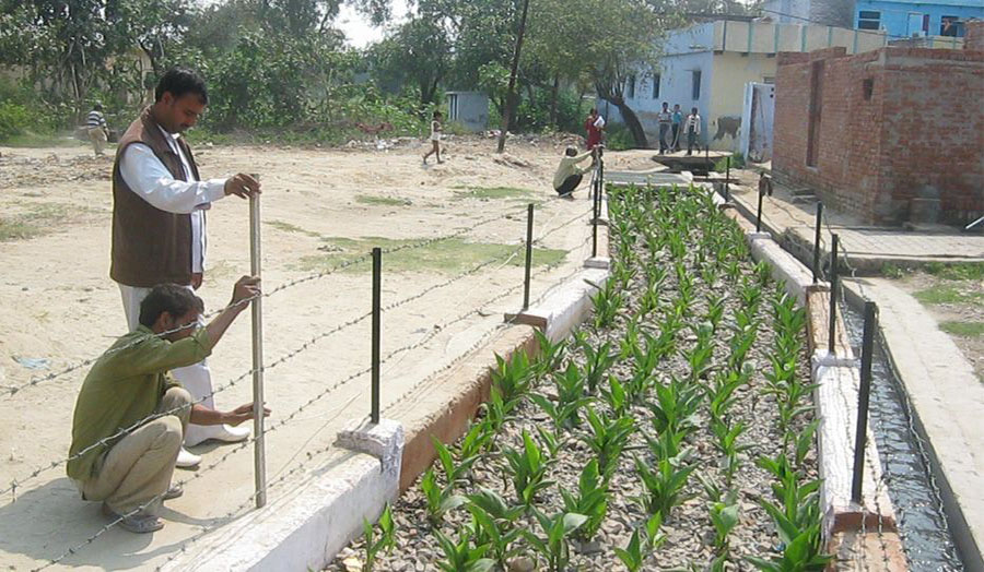De-centralised Wastewater Treatment System Agra