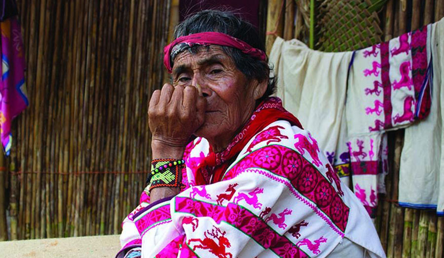 Mexican wixarika shaman