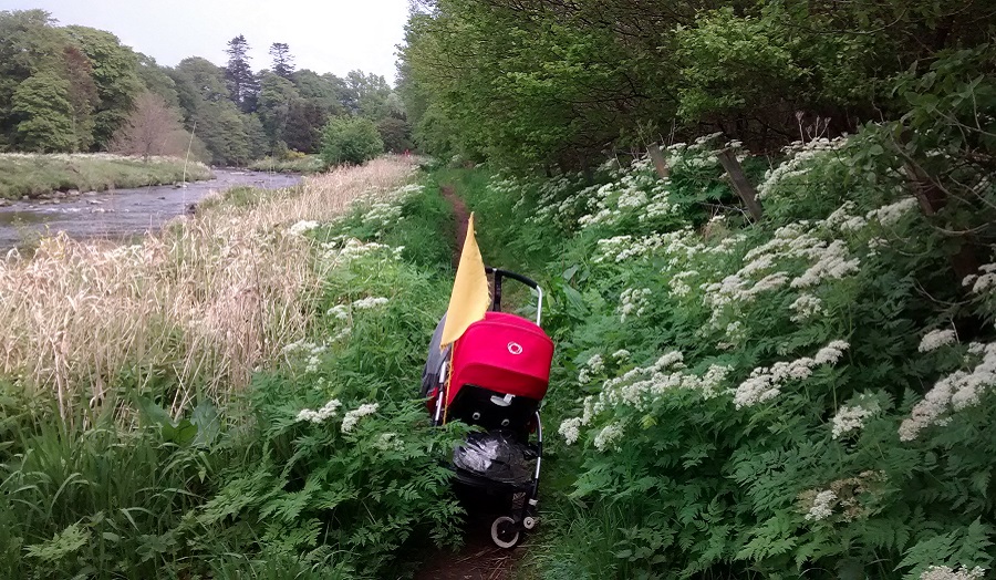 a red pram on an overgrown path
