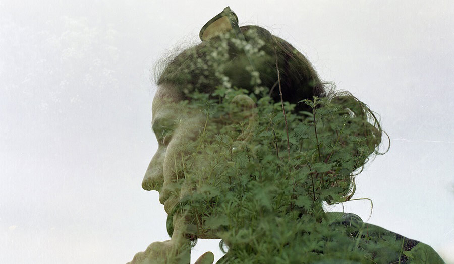 a double-exposure technique of a woman’s head with foliage from a tree