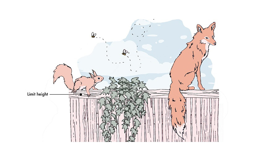 An illustration of a fox and a squirrel on top of a fence and two bees flying