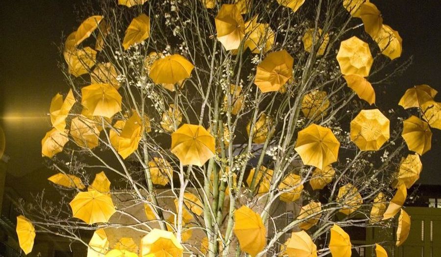 Dried yellow flowers by Sam Spenser, [miscellanyinc.com], Photo: Clive Booth