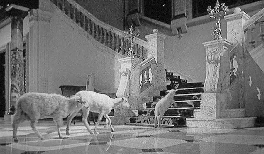 still from The Exterminating Angel by Luis Bunuel