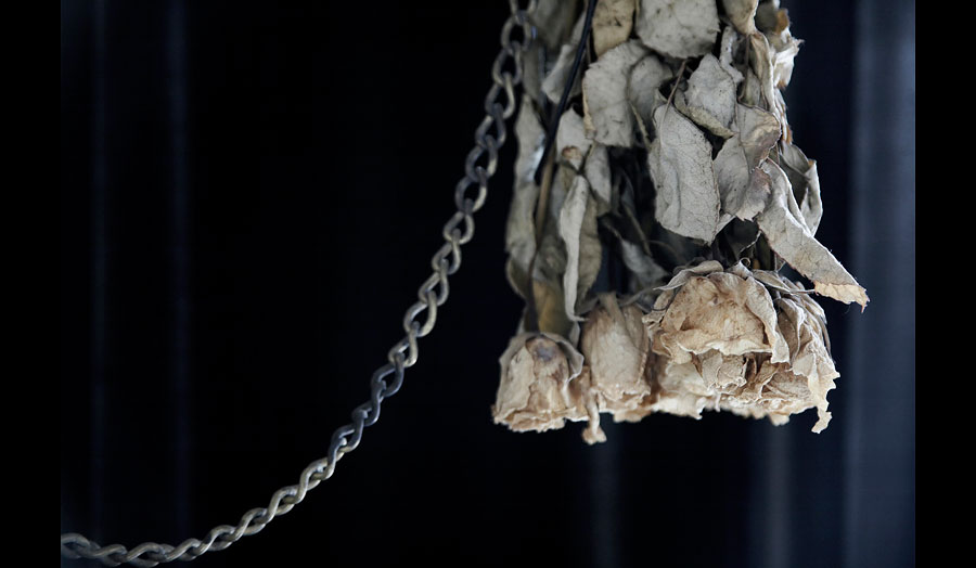 Upside down hanged dried roses