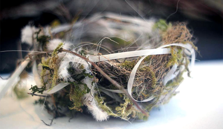 Photo: Bird nest with intertwined twigs, moss, polyethylene bands, and other found materials.