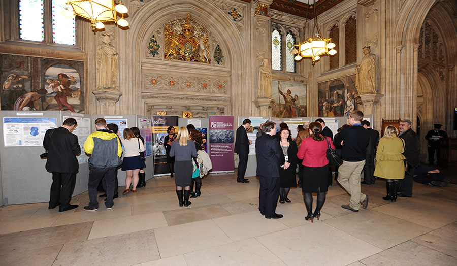 People looking at posters at the Graduate Research Conference 