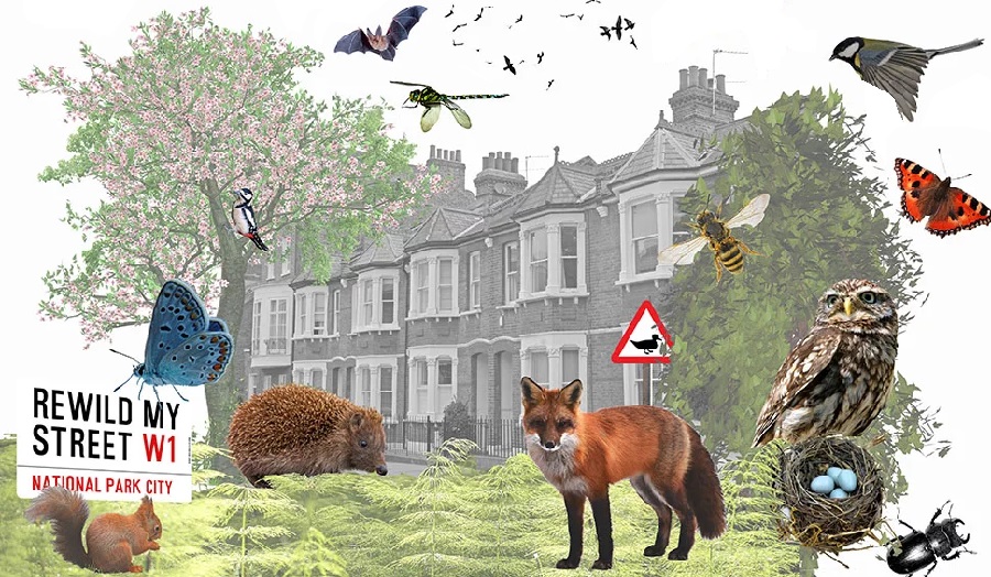 Collage of London street with wildlife