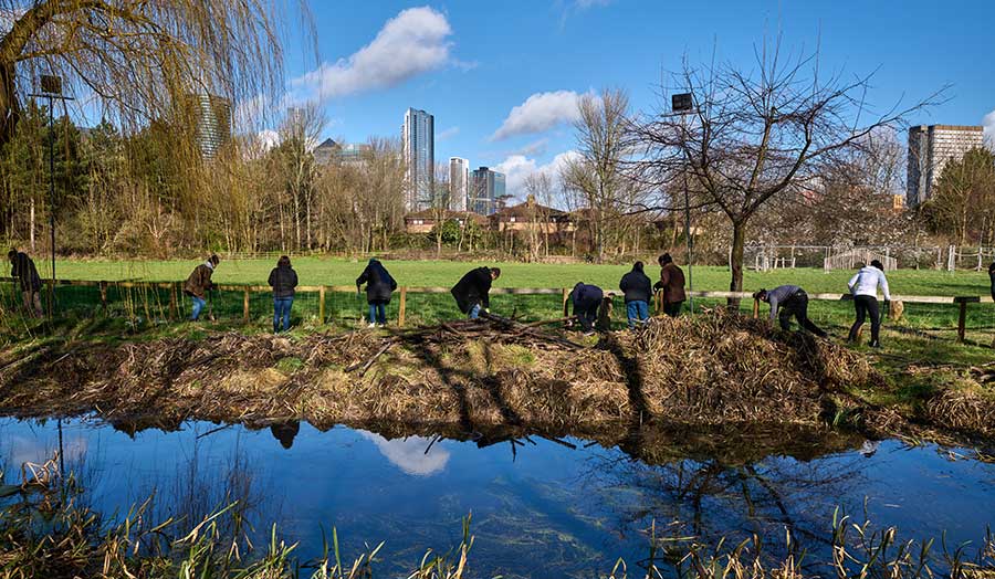 a group of students planting trees at the Mudchute Farm against the background of London's skyscrape