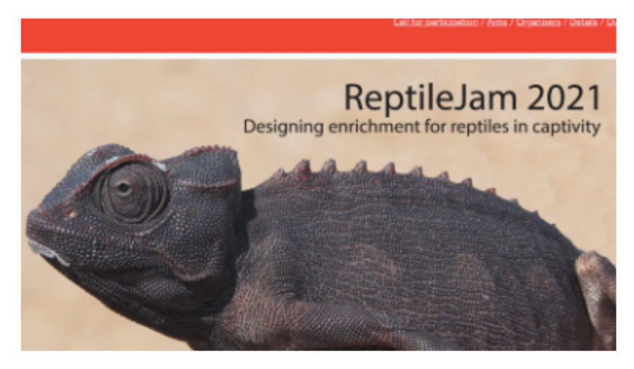 Screenshot from website for Reptile Jam workshop