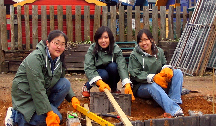 Three student volunteers working at a farm, organised through Reach