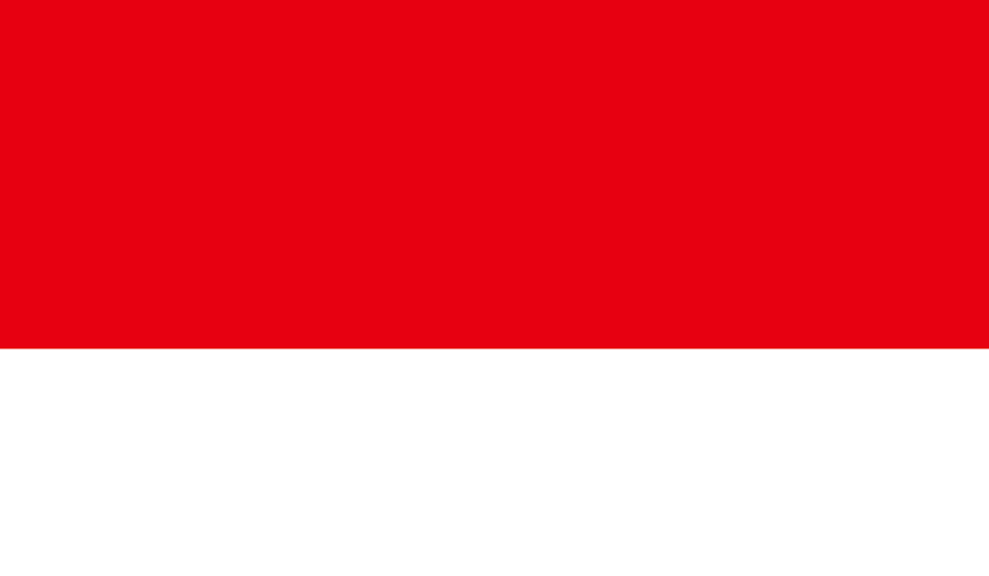 Indonesia Flag Image