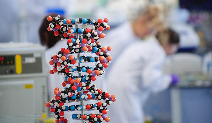 Photograph of a DNA helix model.