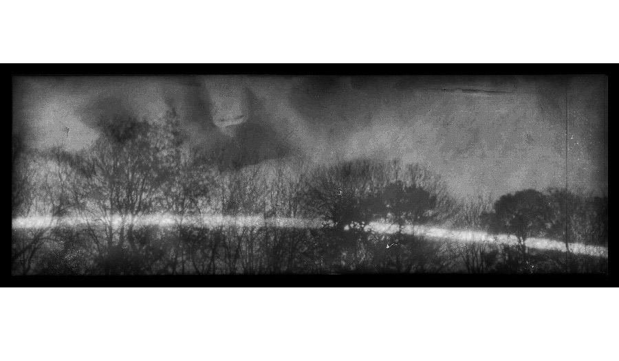 A black and white double exposure image of a landscape with trees and some reflections on top