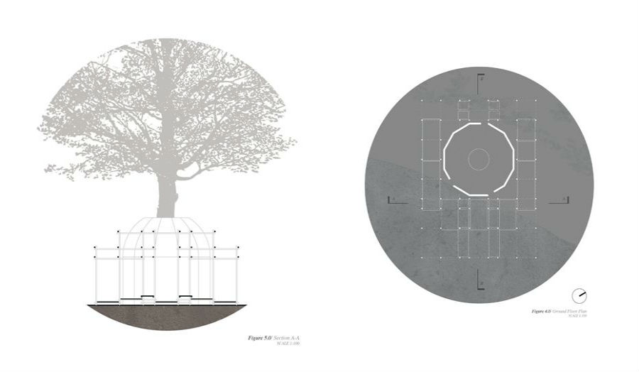 Section and plan unit 14