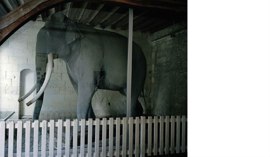 Sculpture of an elephant on view at the exhibition