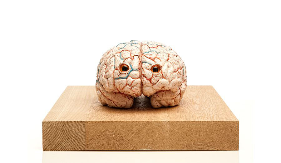 The Brain of a Messenger of Death, 2011 - Jan Fabre