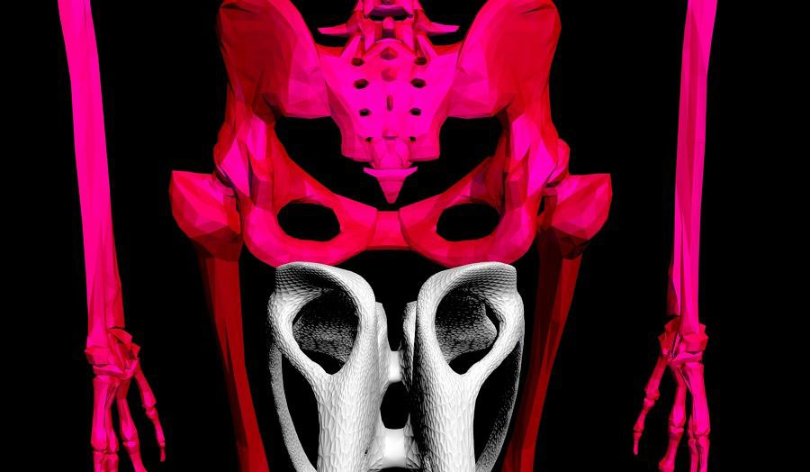 Femur Stool - Sitting Experiments