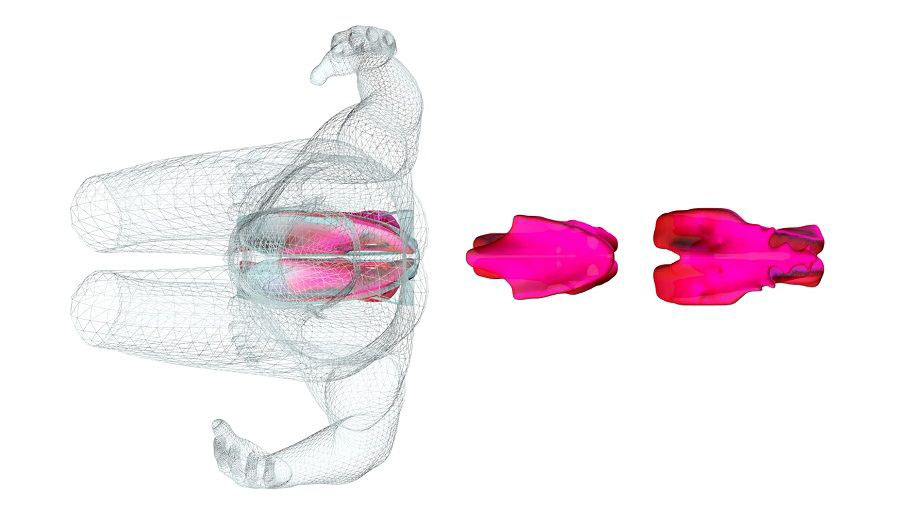 Femur Stool - Process Rendering