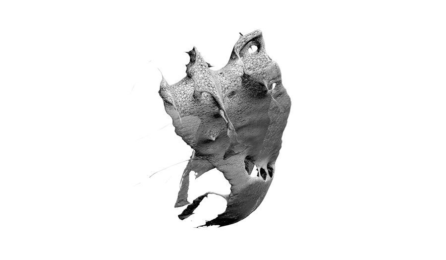 Femur Stool - Modelling Bad Geometry