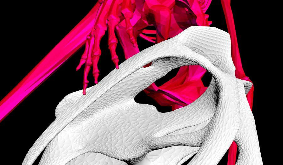 Femur Stool - Sitting Experiments