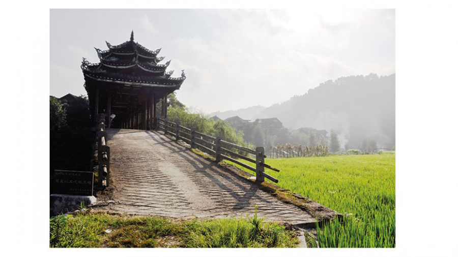 A house in China next to green farmland