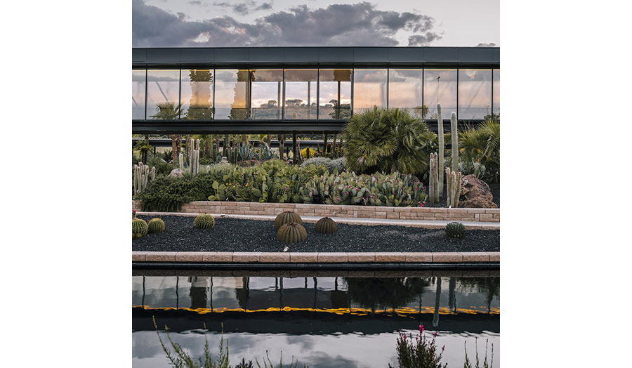 Desert City, cactus garden