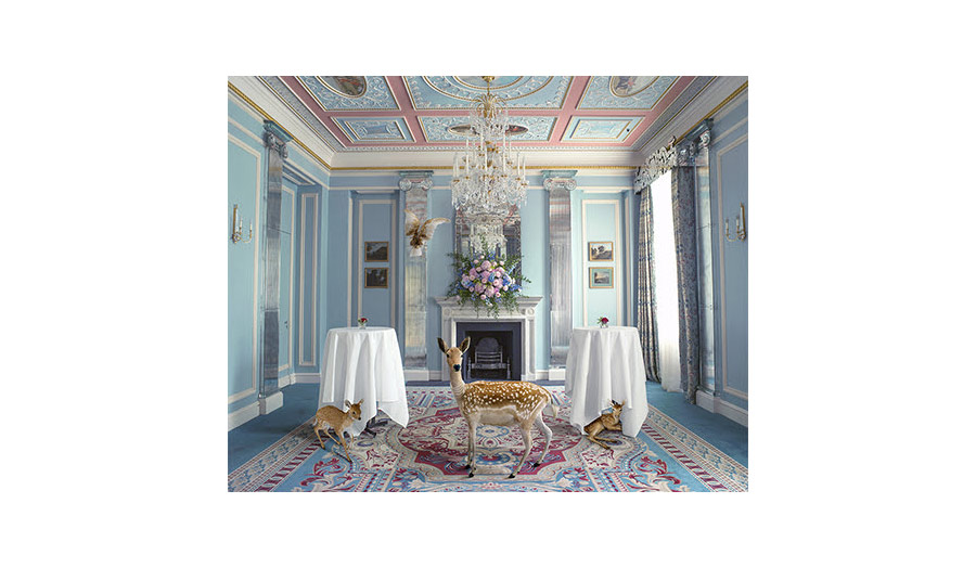 A female deer with two fawns in a reception room of a palace