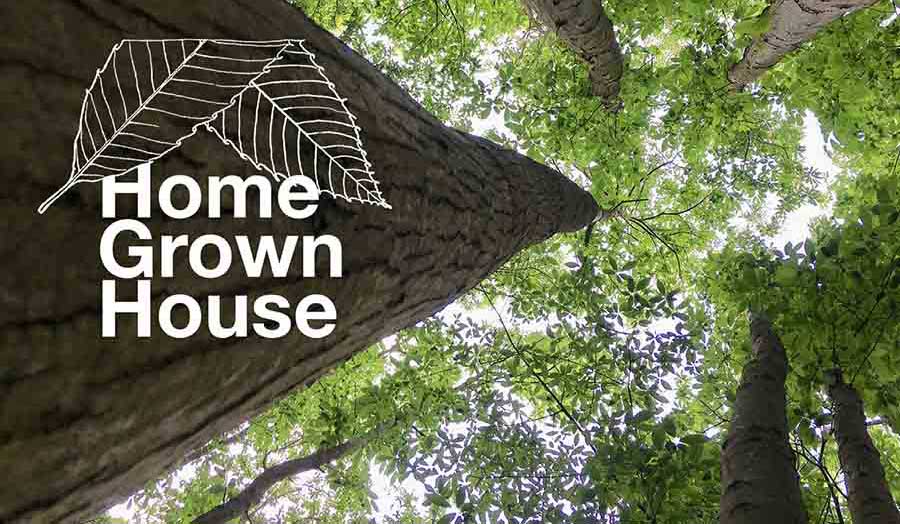 view up into the forest with home grown house logo 