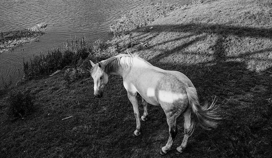 Short courses London Metropolitan University