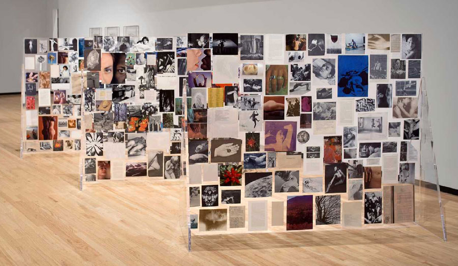 Installation view The History of My Pleasure, Museum of Contemporary Photography (Chicago). Collage of photographs on fabric on wall dividers.