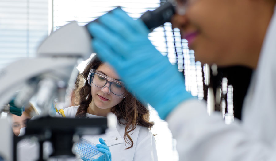 Students in the lab