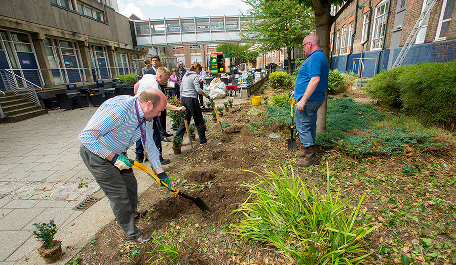 Another success for London Met's green team - London Metropolitan ...