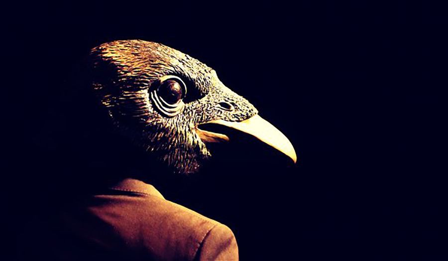 A human with a bird's head - promotional shot for The Pecking Order