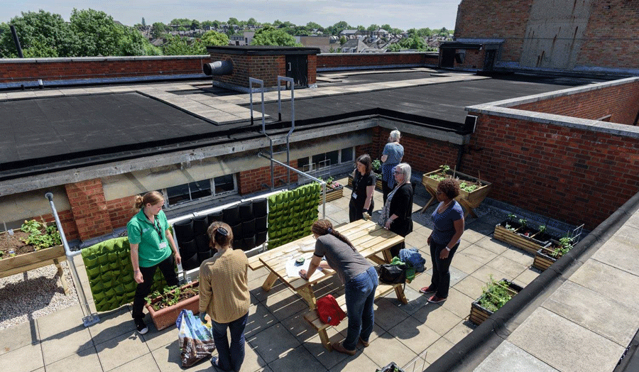 The Rooftop Gardens on Holloway Road