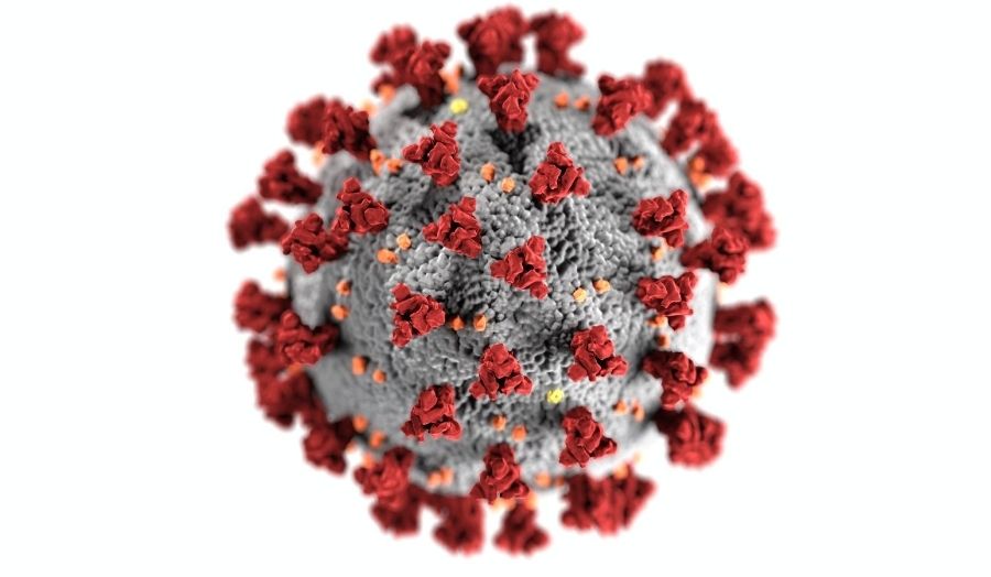 Microscopic image of the coronavirus