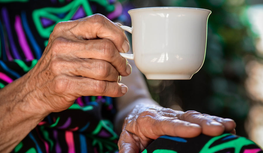 elderly woman's hands holding a cup of tea