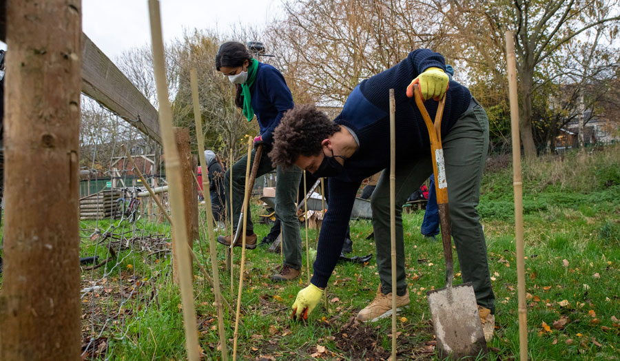 students planting trees