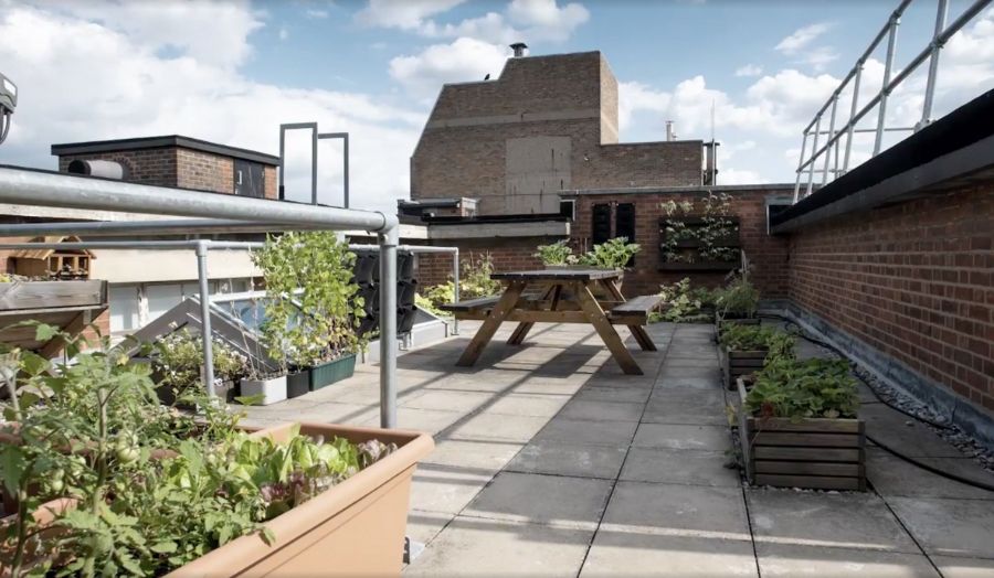 The rooftop garden on the Holloway campus