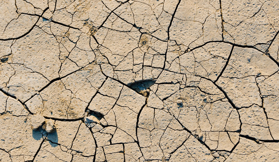 dry earth in a drought