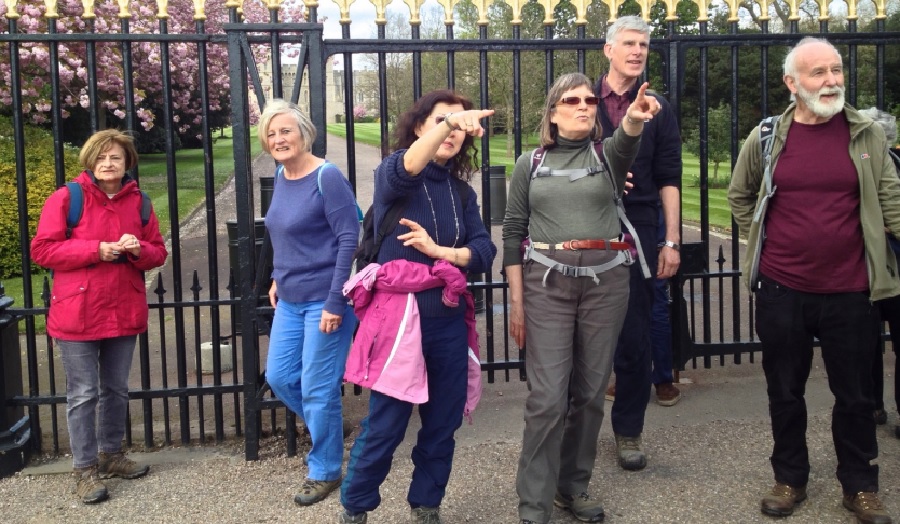 A group of retired people on a walk