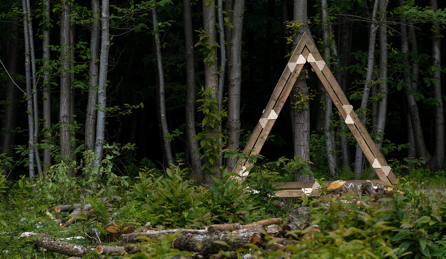wooden structure in a forest