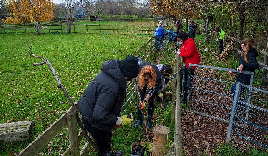 group of students planting trees in a field