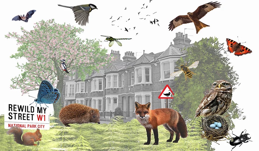Rewild my street banner, with animals in front of greenery and row of houses