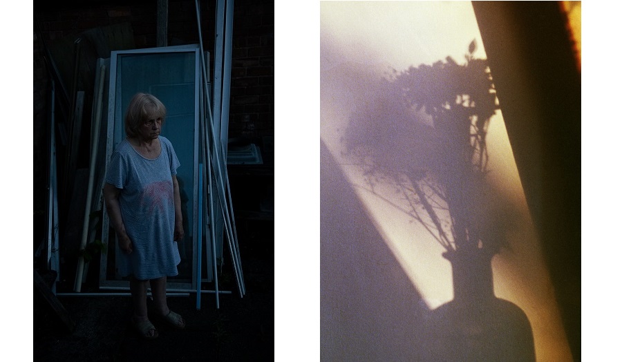 photography of an elderly woman and a shadow of a vase of flowers 