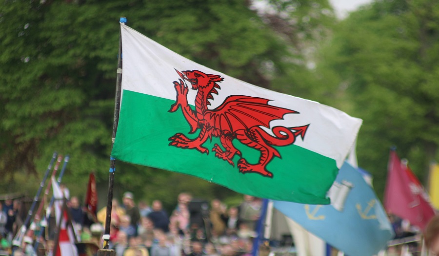 Welsh Flag in crowd