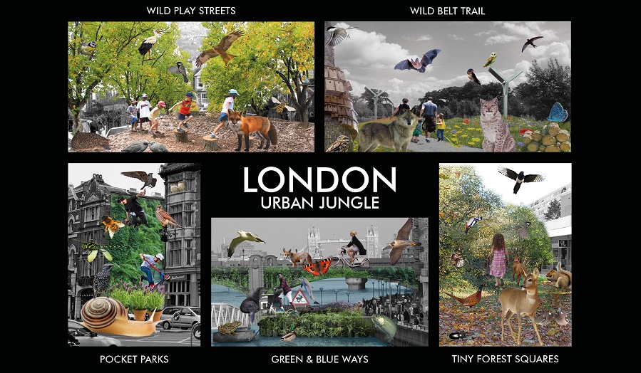 postcard reading 'urban jungle' featuring London scenes with added animals and wildlife