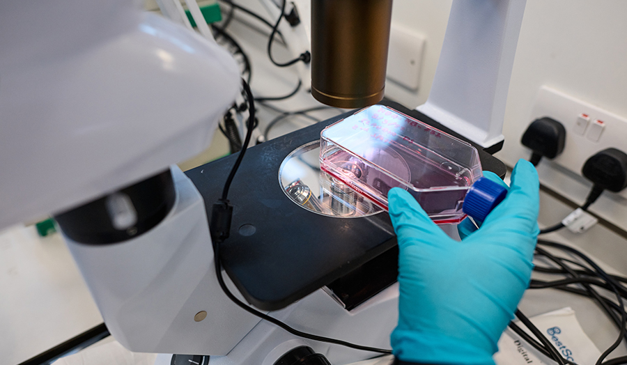 Chemistry student analyses a sample under a microscope