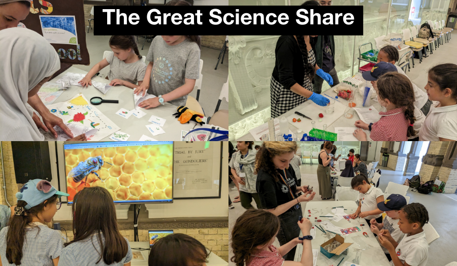 Collage of images from The Great Science Share showing local Islington school engaging with science