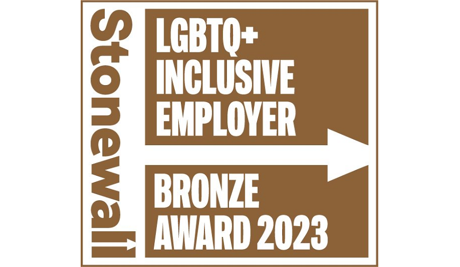 Stonewall Bronze Award