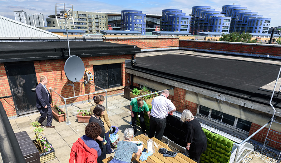 Holloway roof garden